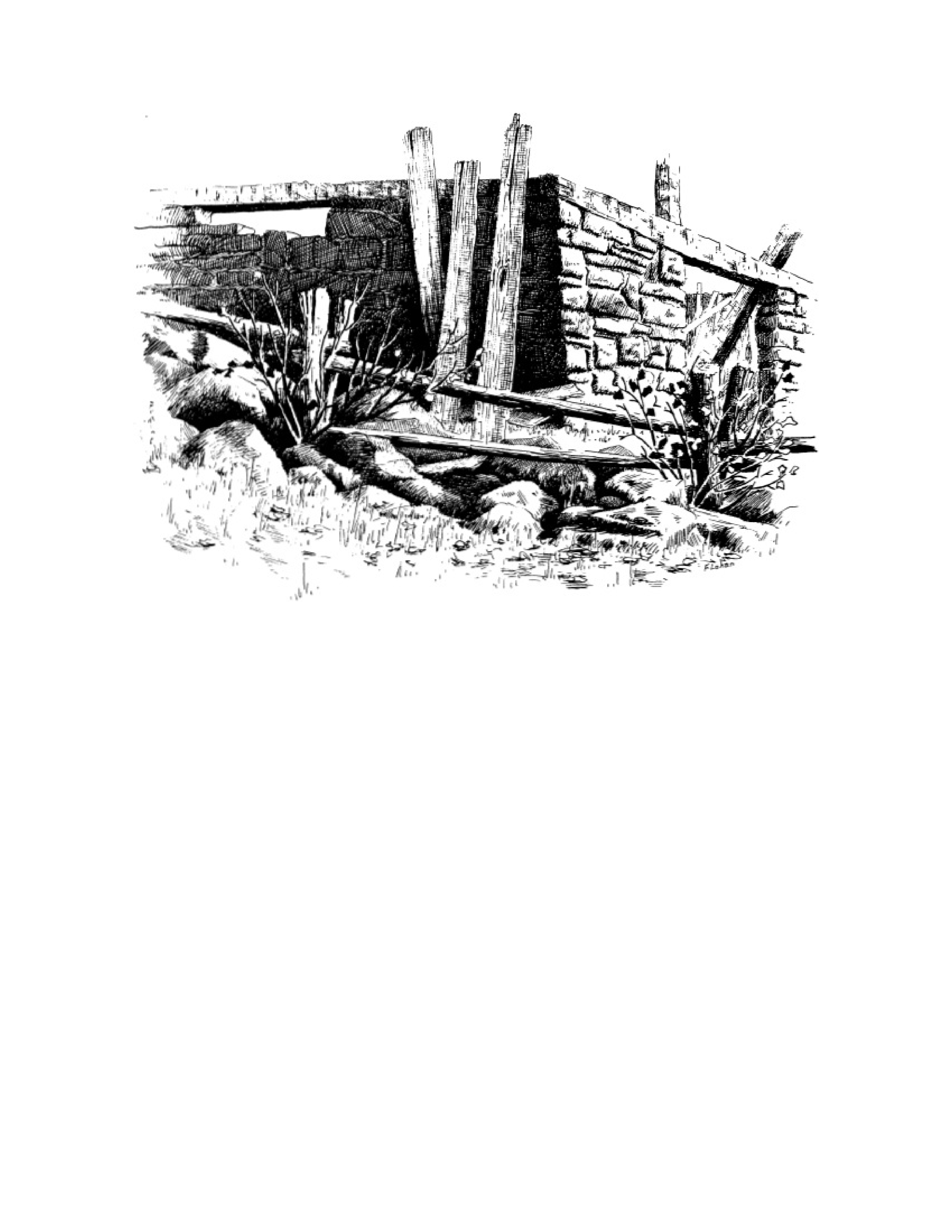 آموزش نقاشی طراحی سیاه قلم شهرری